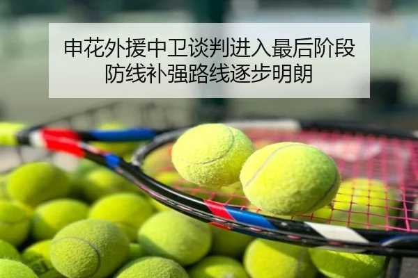 申花外援中卫谈判进入最后阶段 防线补强路线逐步明朗