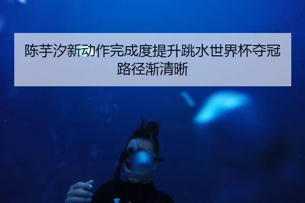陈芋汐新动作完成度提升跳水世界杯夺冠路径渐清晰